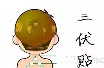 1、三伏貼有用嗎？效果好嗎？