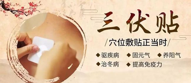 1、三伏貼要連續(xù)貼幾天